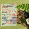 California Poppy and Kava Kava Herbal Formula