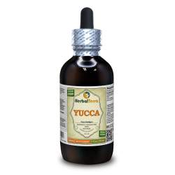 Yucca (Yucca Schidigera) Tincture, Dried Roots Liquid Extract