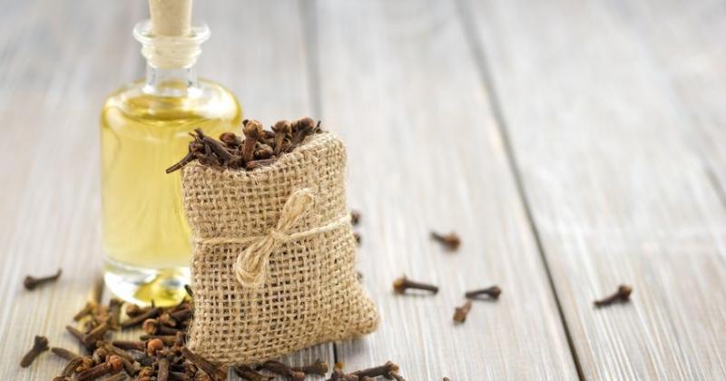 CLOVES