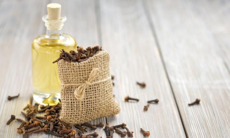CLOVES