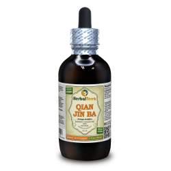 Qian Jin Ba (Flemingia Strobilifera) Tincture, Dried Roots Liquid Extract