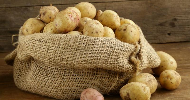 POTATO