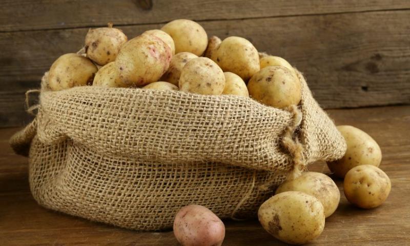 POTATO