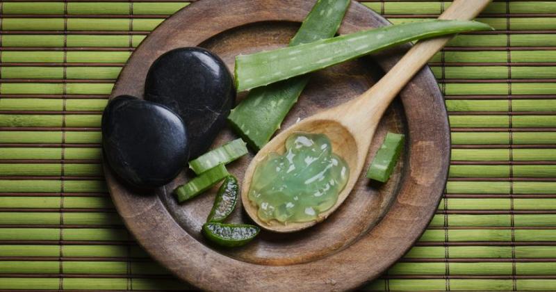 ALOE VERA