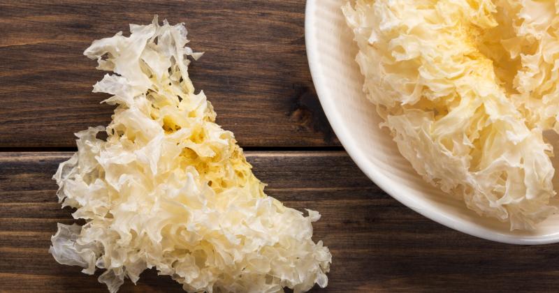 WHITE FUNGUS