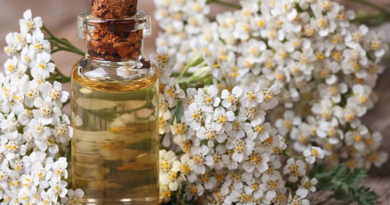YARROW