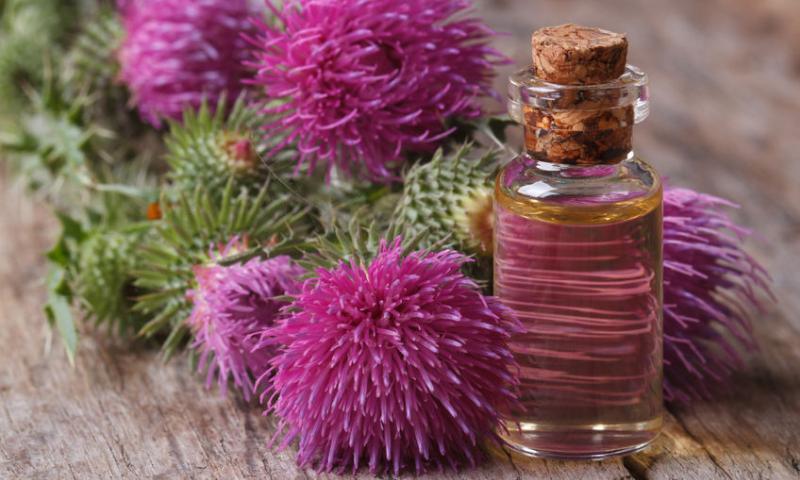 BURDOCK