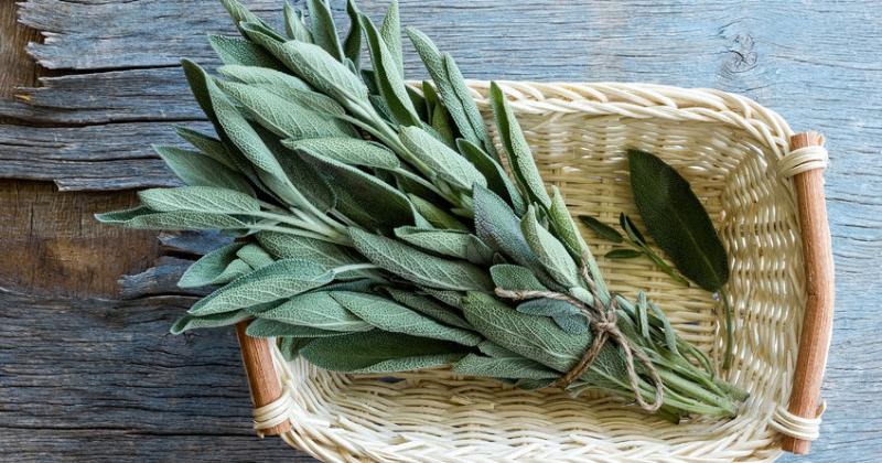SAGE