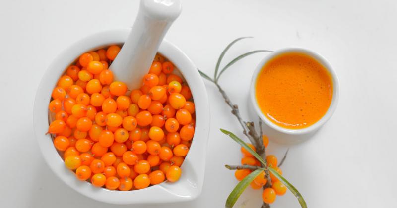 SEA BUCKTHORN IS THE GOLDEN BERRY