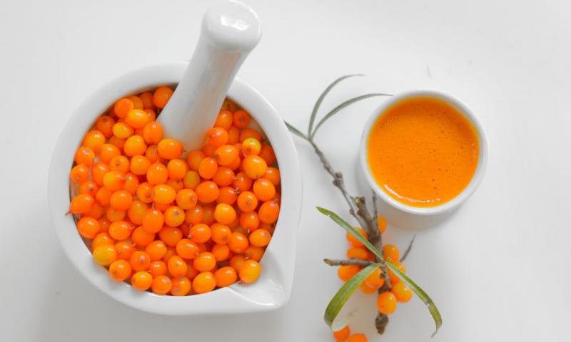 SEA BUCKTHORN IS THE GOLDEN BERRY