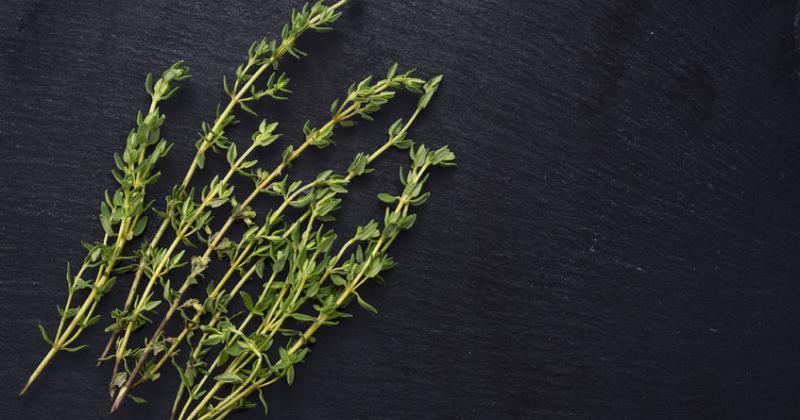 THYME