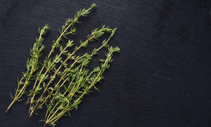 THYME