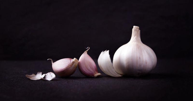 GARLIC