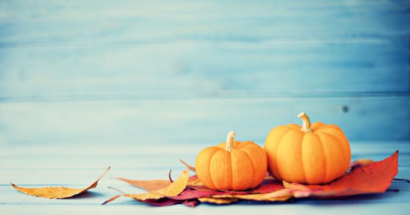 I NEVER MET A PUMPKIN I DIDN'T LIKE