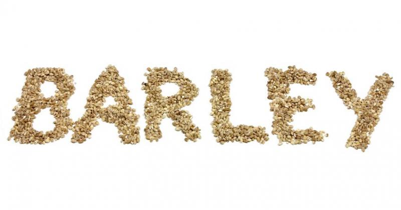 BARLEY
