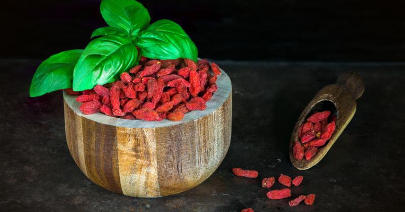 TIBETAN GOJI BERRIES: BENEFITS OF MIRACULOUS BERRIES