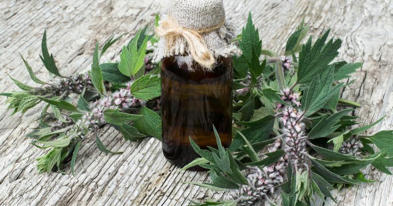 MOTHERWORT