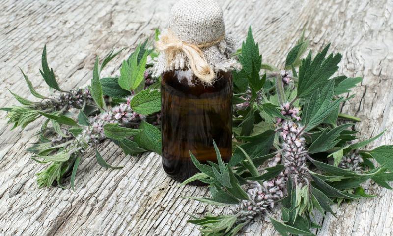 MOTHERWORT
