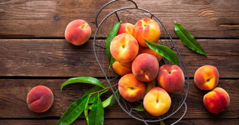 AN APPLE IS AN EXCELLENT THING UNTIL YOU HAVE TRIED A PEACH