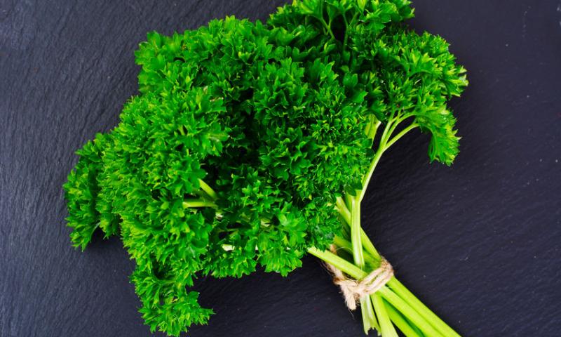 PARSLEY