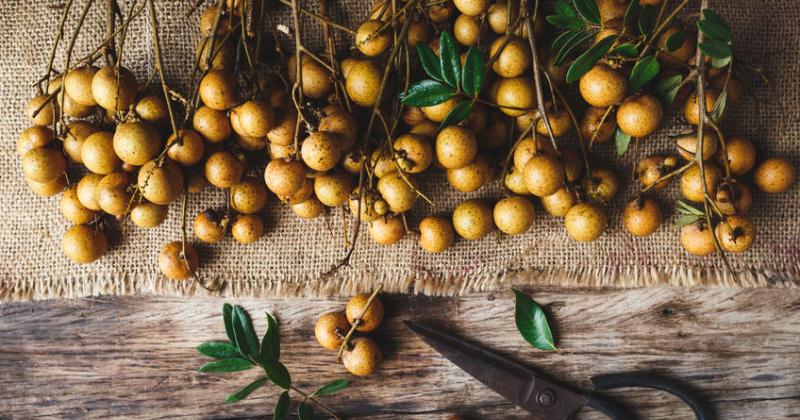 LONGAN: DELICIOUS EXOTIC FRUIT