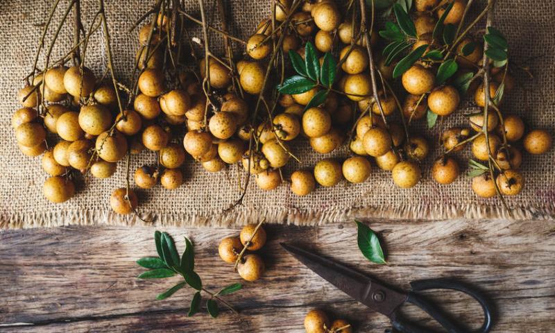 LONGAN: DELICIOUS EXOTIC FRUIT