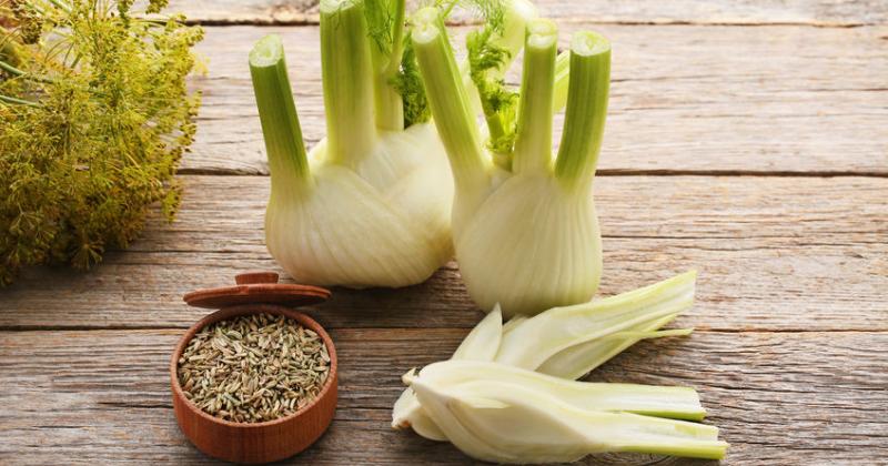 FENNEL