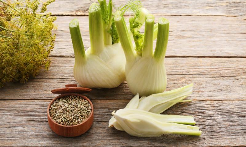 FENNEL
