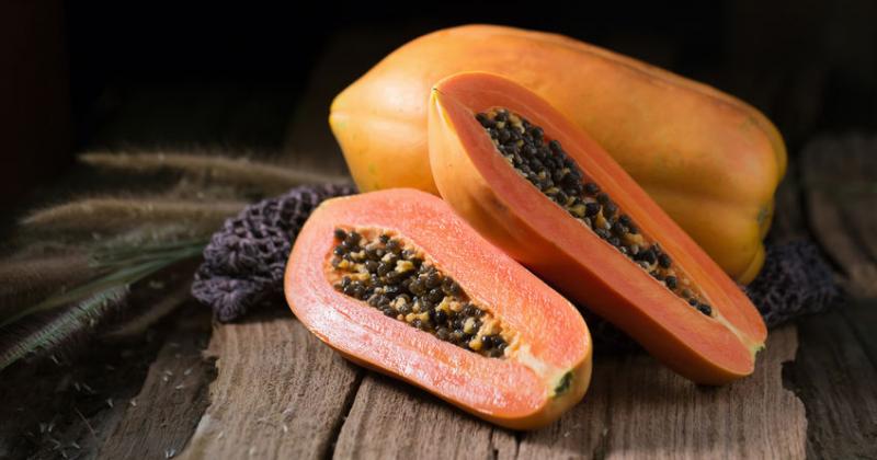 PAPAYA