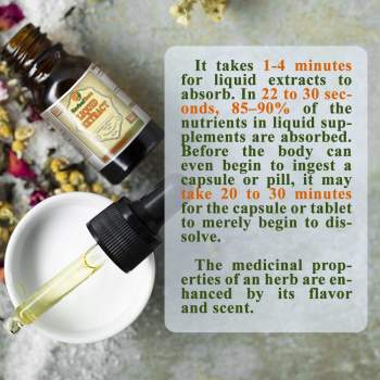 Thyroid Support Herbal Formula, Kelp Whole Plant, Oat Tops, Horsetail Herb Liquid Extract