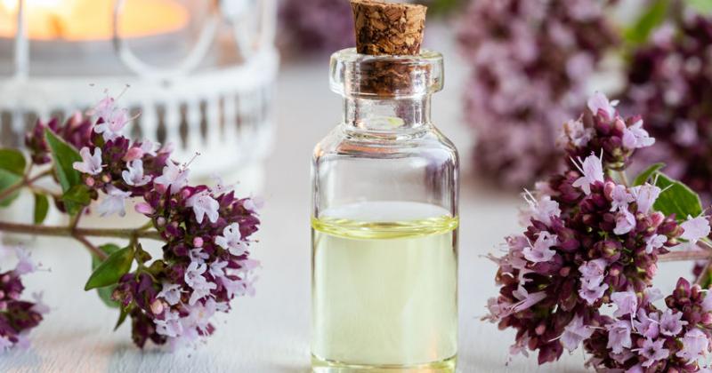 OREGANO