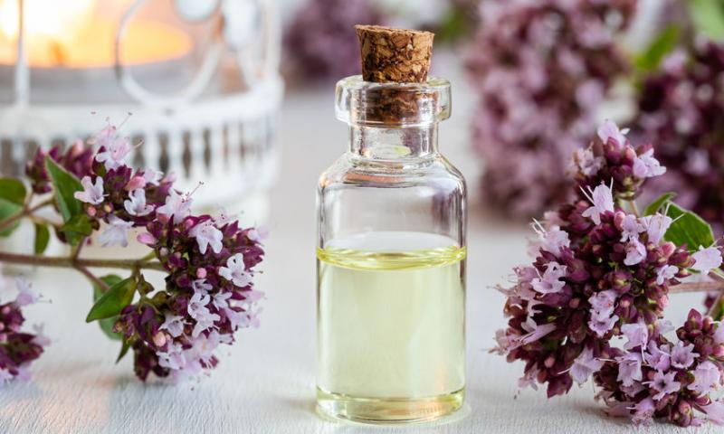 OREGANO