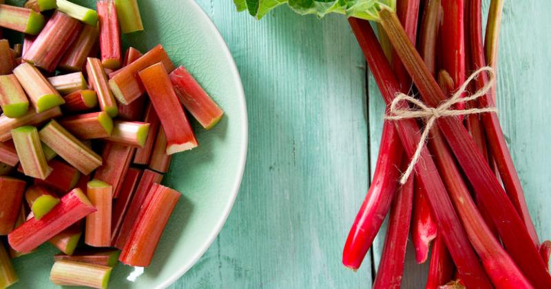 TURKEY RHUBARB