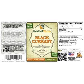 Black Currant (Ribes nigrum) Tincture, Dried Leaves Liquid Extract