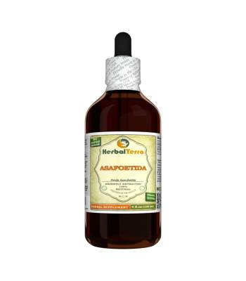 Asafoetida (Ferula assa-foetida) Tincture, Dried Herb Powder Liquid Extract