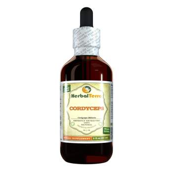 Cordyceps (Cordyceps militaris) Tincture, Dried Mushroom Powder Liquid Extract