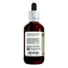 Labrador Tea (Rhododendron groenlandicum) Tincture, Dried Leaves Liquid Extract
