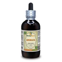 Angelica (Angelica Archangelica) Tincture, Organic Dried Root Liquid Extract