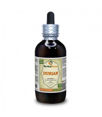 Durian (Durio zibethinus) Tincture, Dried Fruit Liquid Extract