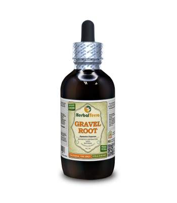Gravel Root, Joe-Pye Weed (Eutrochium purpureum) Tincture, Dried Root Liquid Extract