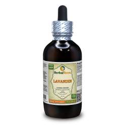 Lavandin (Lavandula x intermedia) Tincture, Organic Dried Flowers Liquid Extract
