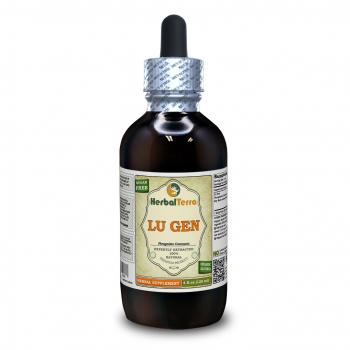 Lu Gen, Reed (Phragmites Communis) Tincture, Dried Root Powder Liquid Extract