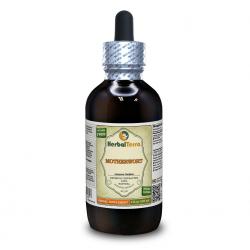 Motherwort (Leonurus Cardiaca) Tincture, Organic Dried Herb Liquid Extract
