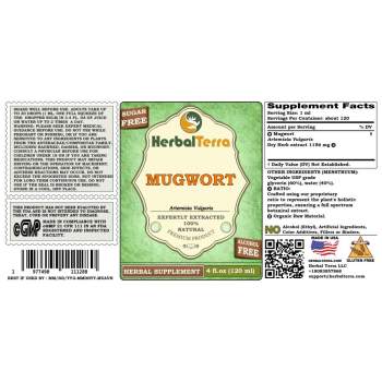 Mugwort (Artemisia Vulgaris) Tincture, Dried Herb Liquid Extract