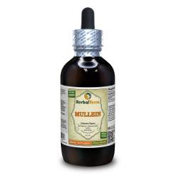 Mullein (Verbascum Thapsus) Tincture, Certified Organic Dry Leaf Liquid Extract