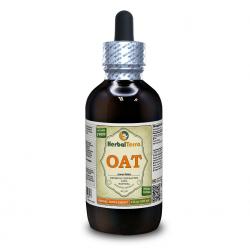 Oat (Avena Sativa) Tincture, Organic Dried Grains Liquid Extract