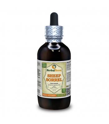 Sheep Sorrel (Rumex acetosella) Tincture, Dried Herb Liquid Extract