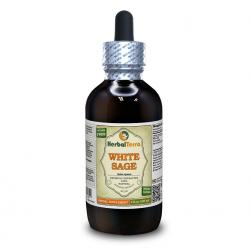 White Sage (Salvia Apiana) Tincture, Organic Dried Leaf Powder Liquid Extract