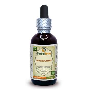 Wintergreen (Gaultheria procumbens) Tincture, Dried Leaf Powder Liquid Extract