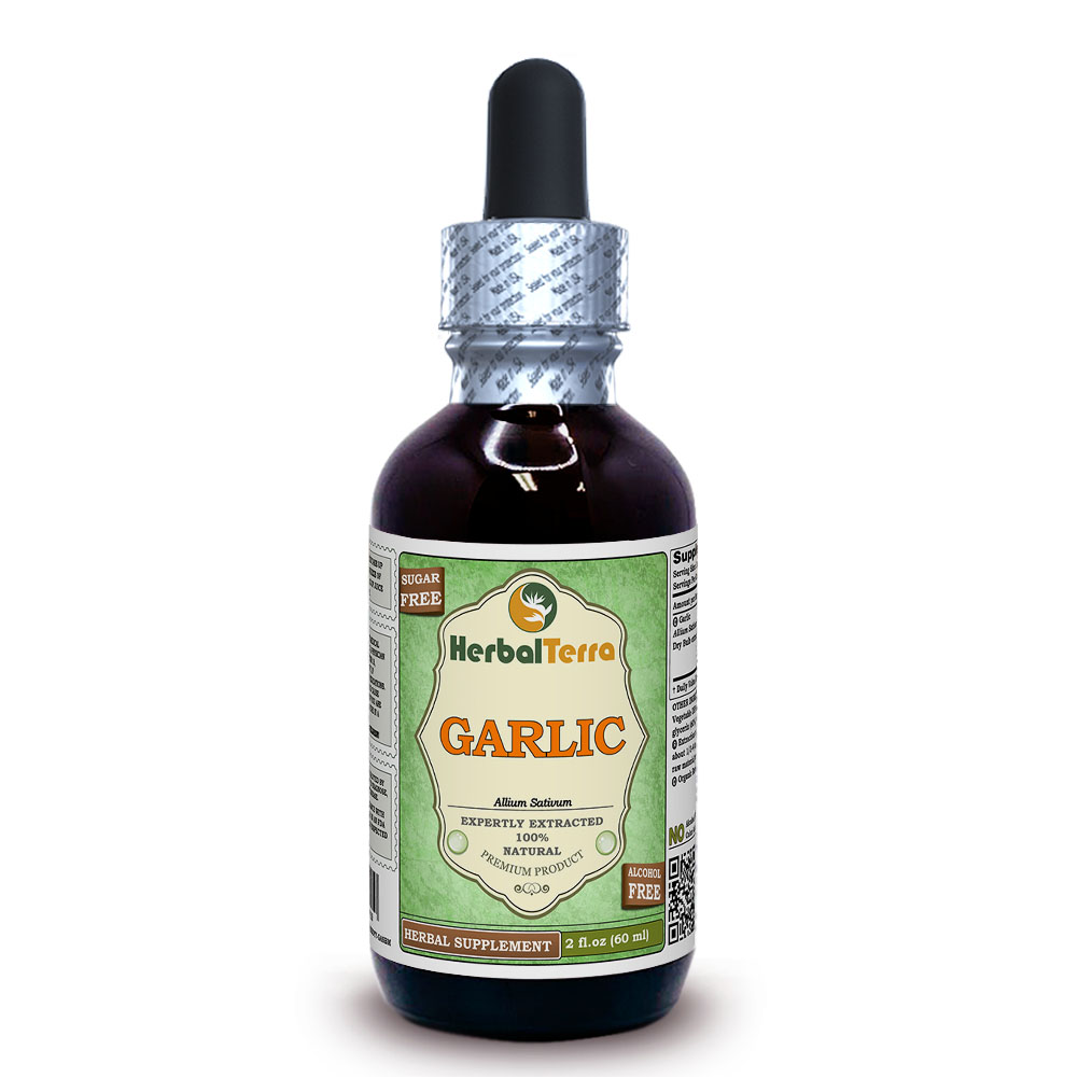 Garlic (Allium Sativum) Tincture, Certified Organic Dried Bulb Liquid Extract - Picture 3 of 7